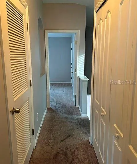 15723 Fishhawk Falls Dr — Photo 18
