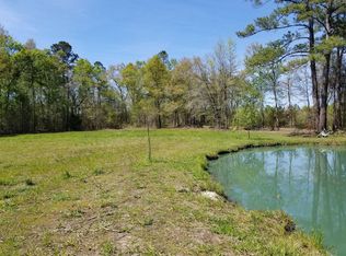 9 Alligator Ln, Walterboro, SC 29488