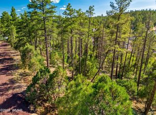 E Ellsworth Ave, Show Low, AZ 85901
