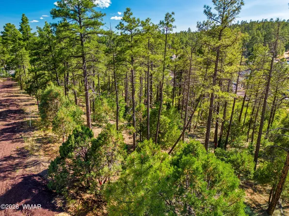 E Ellsworth Ave, Show Low, AZ 85901