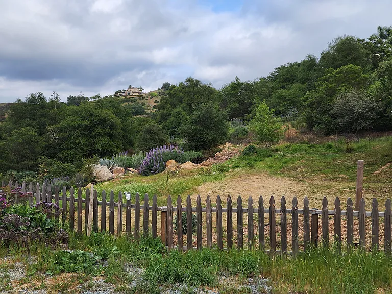 12410 Mirar De Valle — Photo 23