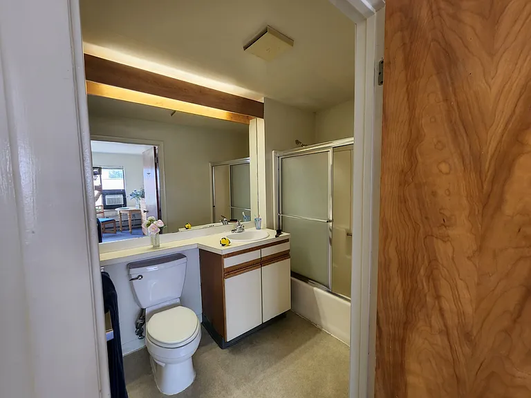 Collegetown Court, 208 Dryden Road — Photo 21