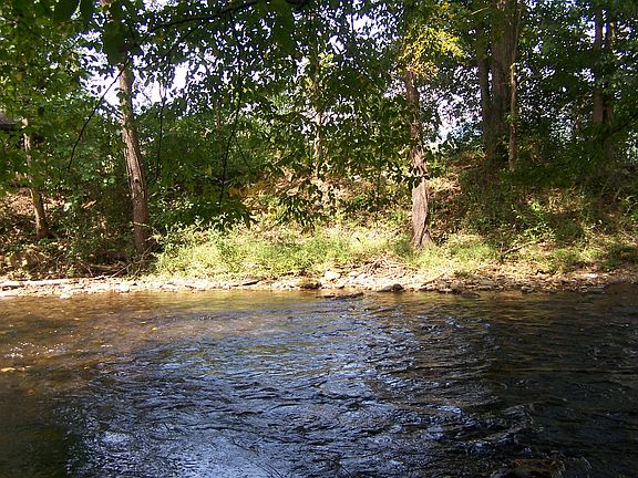 View W from creekside