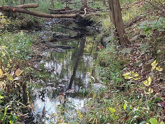 2nd image of 0 County Road 6030