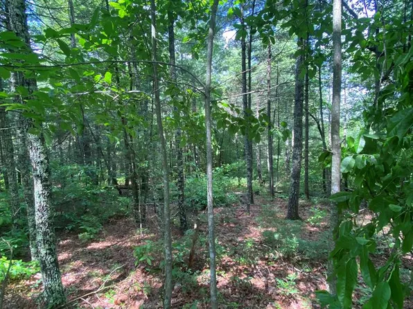 0 Route 19, Camp Creek, WV 25820