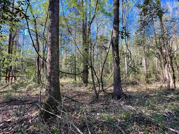 26 Lillian Ln, Ethel, LA 70730