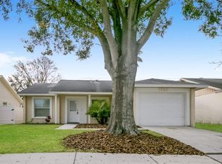 1767 Lakeview Village Dr, Brandon, FL 33510