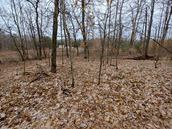 Bonnie Mae Rd, Harrison, MI 48625
