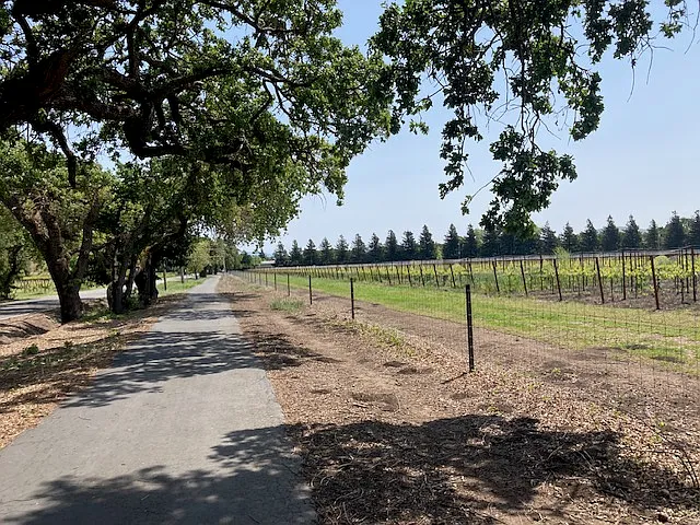 Green Valle Rd. walking trail.