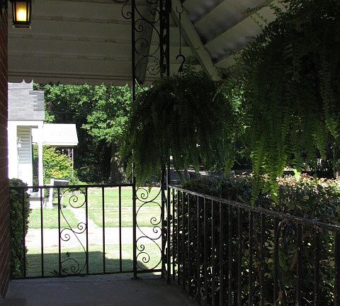 5th image of 3616 Bowen Ave