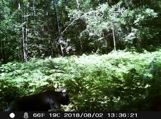 27243 Canvasback Dr LOT WP001, Shevlin, MN 56676