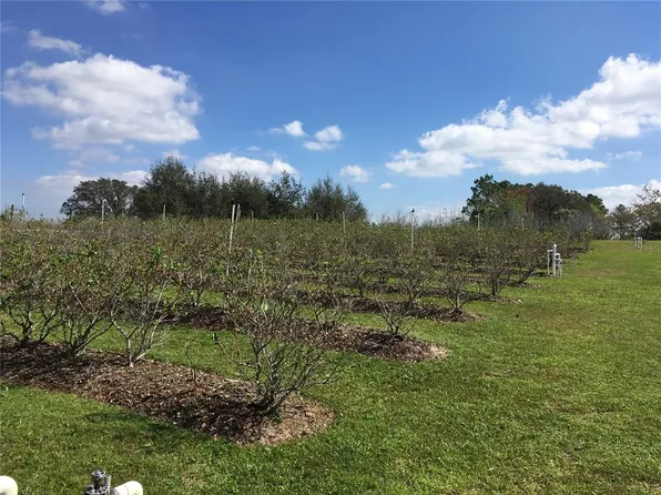 1296 Pfundstein Rd #42, Babson Park, FL 33827