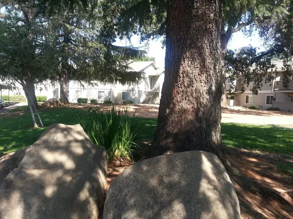 Auburn Creek Apartments