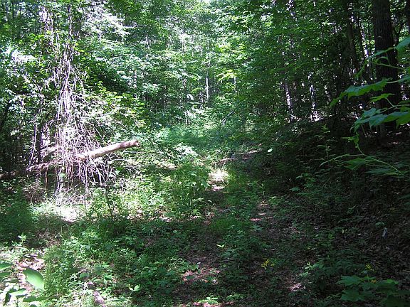 2nd image of 1 Timber Ln Lot 1