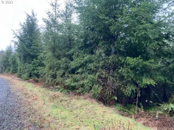 Clatsop Fir Mainline, Seaside, OR 97138