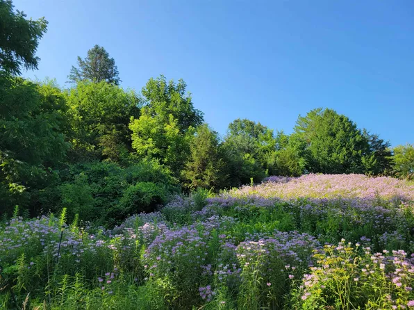 1A43 Blackhawk Ln, Apple River, IL 61001