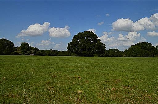 3rd image of 14786 Hill Top Ln
