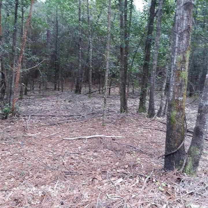 2nd image of LOT 10 N Highway 87