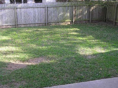 5th image of 12813 Steeple Chase Dr