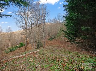 99999 Flora Rose Trl, Asheville, NC 28803