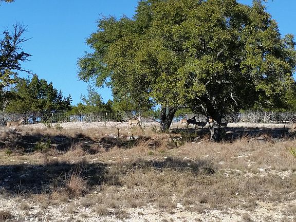 5th image of 509 N Buckboard Dr