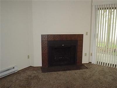 Wood Burning Fire Place for Romantic Evenings