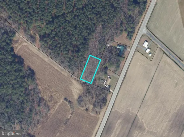Houston Branch Rd, Federalsburg, MD 21632