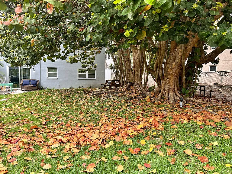 751 Pine Dr #101 — Photo 14