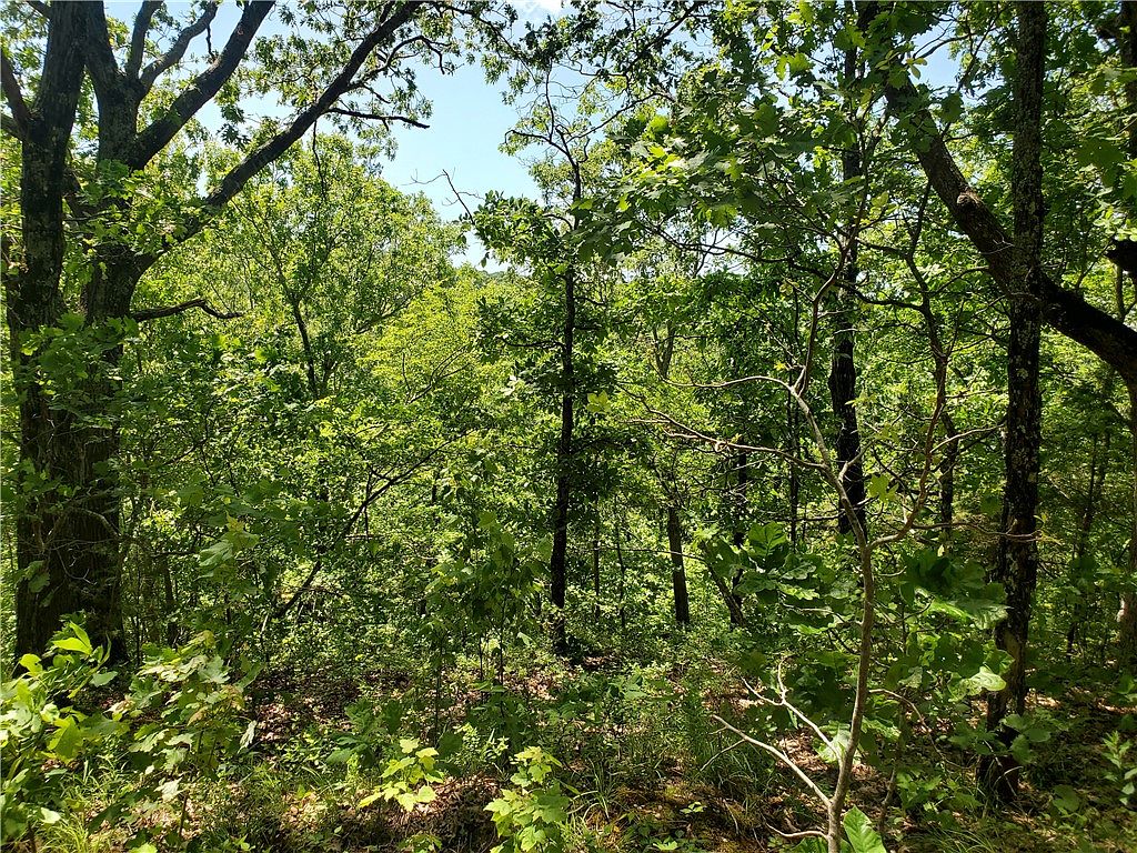 Madison 3345, Witter, AR 72776 Zillow