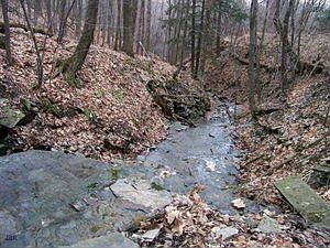 5th image of 0 Oak Brook Dr