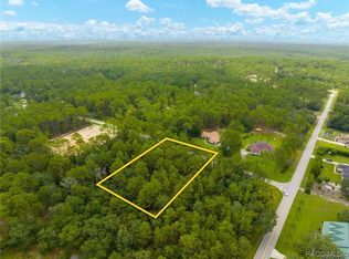 1911 W Stafford St, Hernando, FL 34442