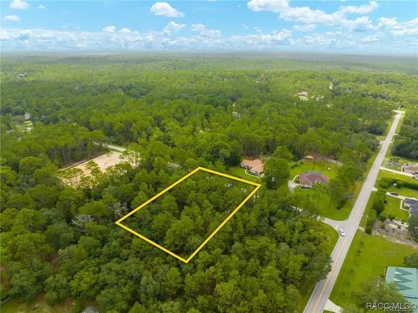 1911 W Stafford St, Hernando, FL 34442
