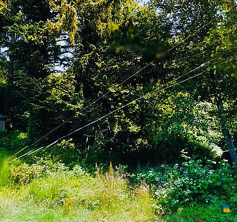 The Lot size 50' x75'