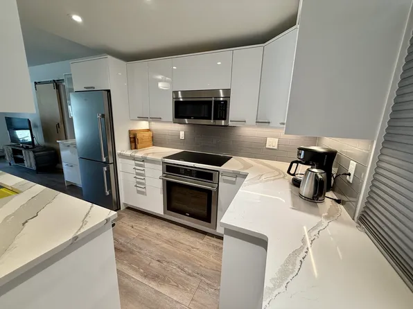 1117 Vine St, Aspen, CO 81611