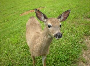 34515 Garoutte Rd, Cottage Grove, OR 97424