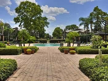 Main Swimming Pool