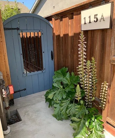Entrance to 115A stairs.
