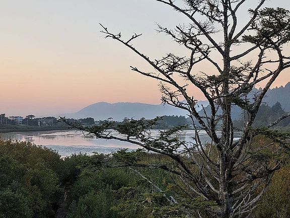 Lakeview from House