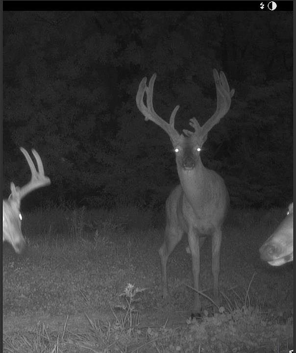 2nd image of 0 County Road 358