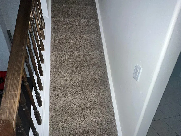stairs with new carpets