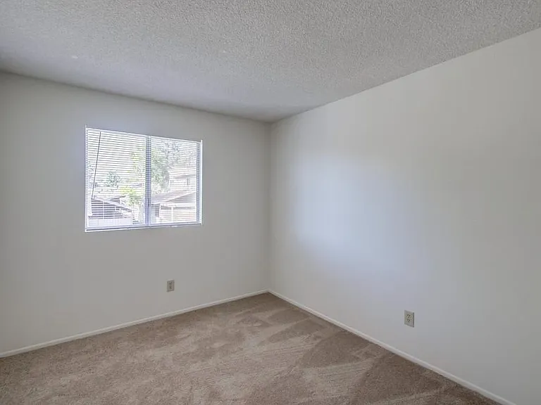 7875 Camino Tranquilo — Photo 11