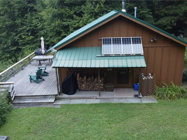 3133 Baxter Mountain Rd #9, Downsville, NY 13755