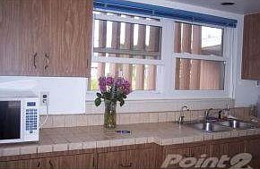 Nice Kitchen