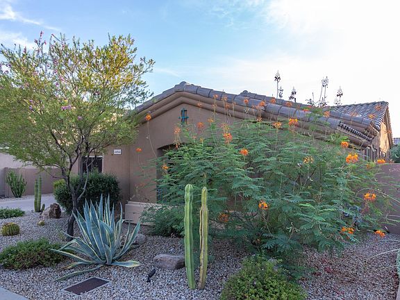 4th image of 24544 N 74th Pl