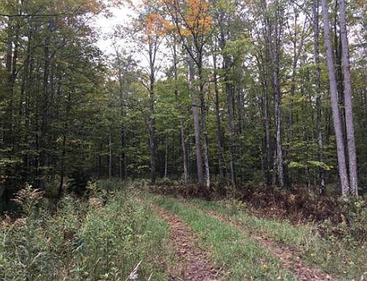 2nd image of 2532 State Highway M69