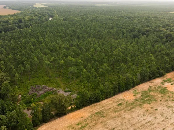 0 Gabe Rd, Bastrop, LA 71220