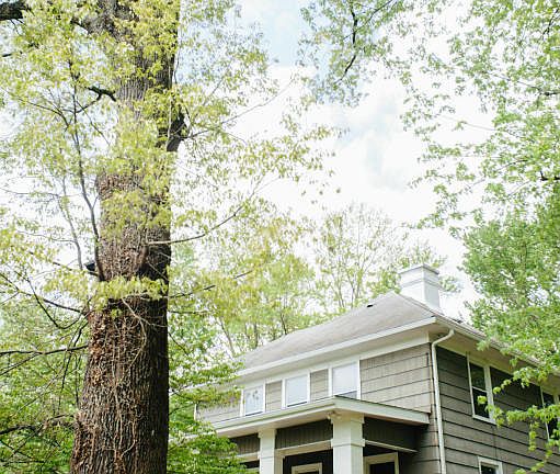 4th image of 223 Campus Ln