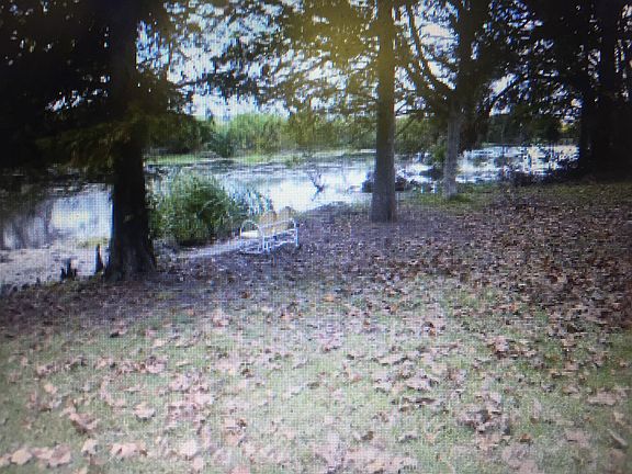 Back yard w boat launch