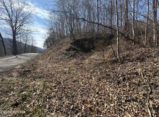 Cave Springs Rd, Dryden, VA 24243