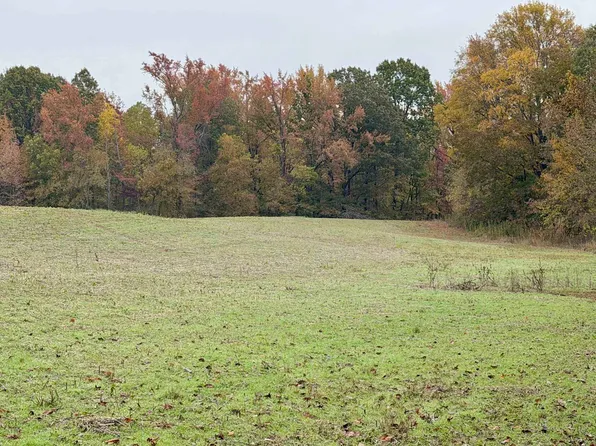 Faye Barfield Rd, Henning, TN 38041